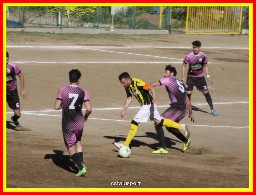190310 Cephal_Torrenov 113_tn.jpg